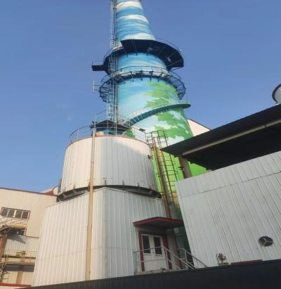 河北秦皇岛耀华玻璃股份有限公司烟气流速超声波案例